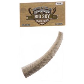 Antler Chew for Dogs - Medium - 1 Antler - Dogs Over 40 lbs - (6"-7" Chew)